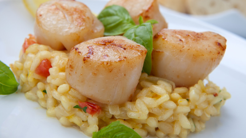 des noix saint-jacques