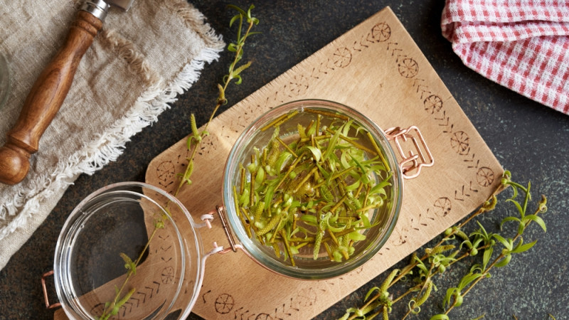 Les bienfaits de la gemmothérapie