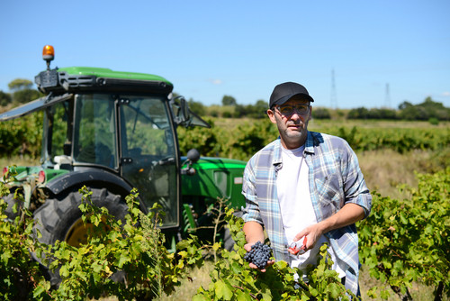 French January : les viticulteurs ripostent au Dry January et relancent le débat sur la consommation d’alcool