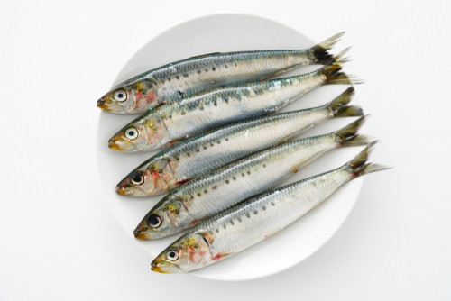 Vrai-Faux sur la sardine : tout savoir sur ce petit poisson plein de surprises