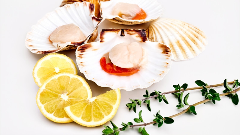 coquilles saint jacques crus