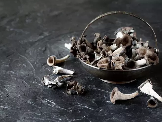 Les trompettes de la mort sont-elles caloriques ?