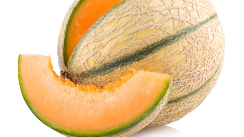 melon