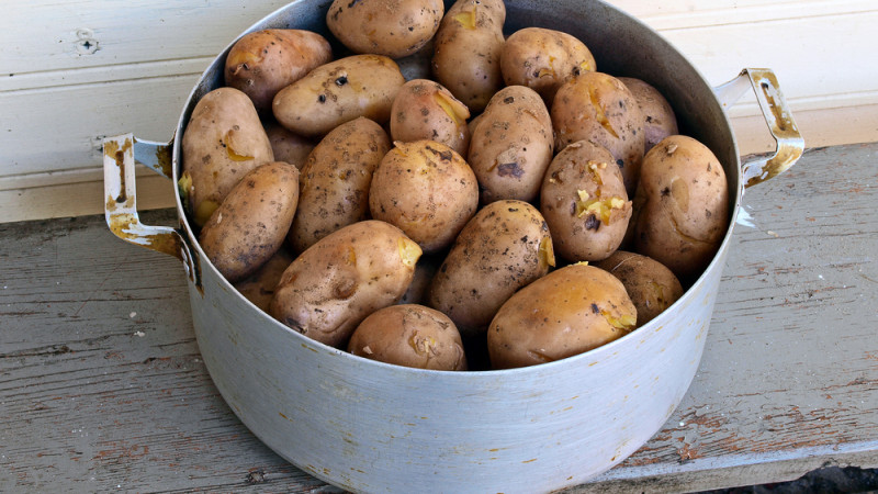 Salade de pommes de terre aux cacahuètes