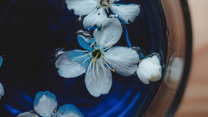 thé bleu