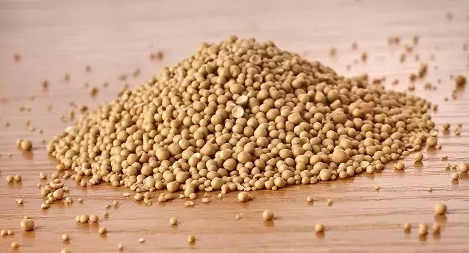 Vrai/Faux sur la levure de bière : tout ce qu'il faut savoir sur ce complément alimentaire