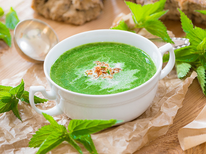 Recette de soupe d’orties : un velouté sauvage, savoureux et riche en nutriments