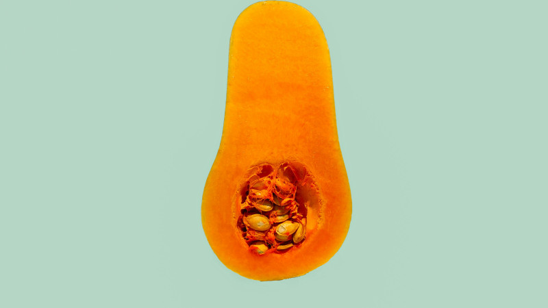 slice of squash