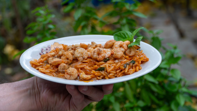Un plat d'orzo aux crevettes appétissant servi sur une assiette blanche, dans un jardin grec.